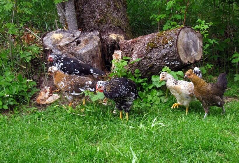 住宿加早餐 Två Ekar Gård