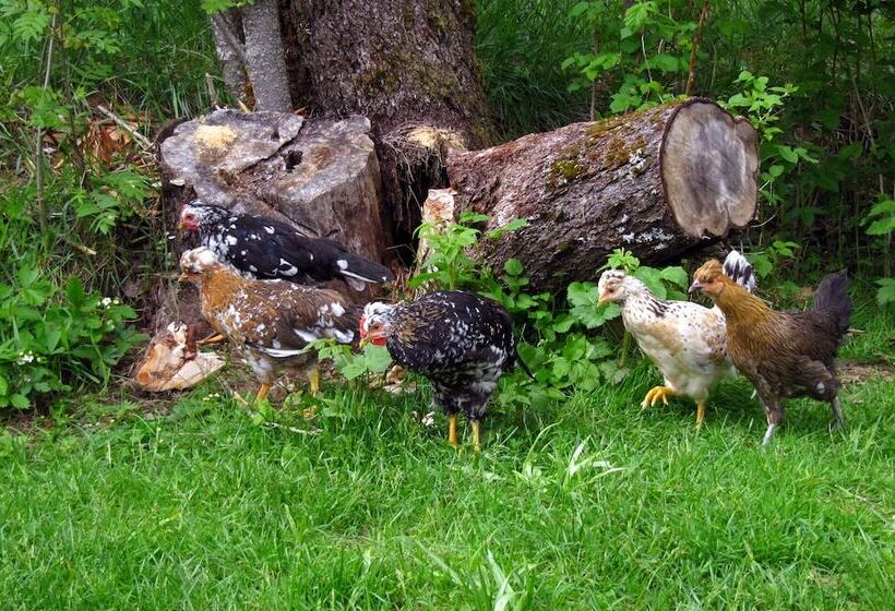 住宿加早餐 Två Ekar Gård