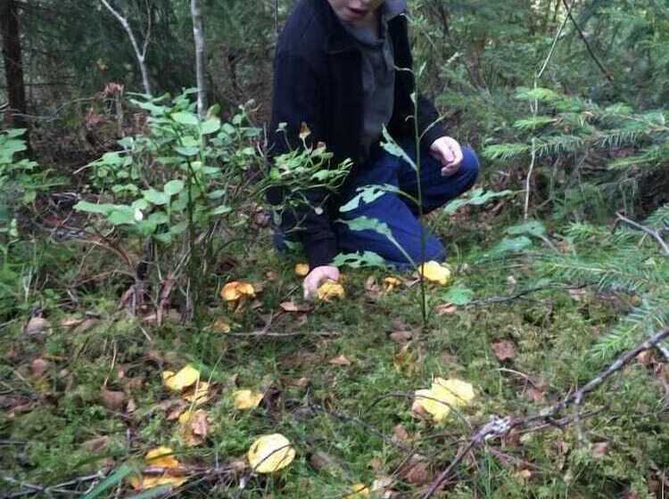 住宿加早餐 Två Ekar Gård