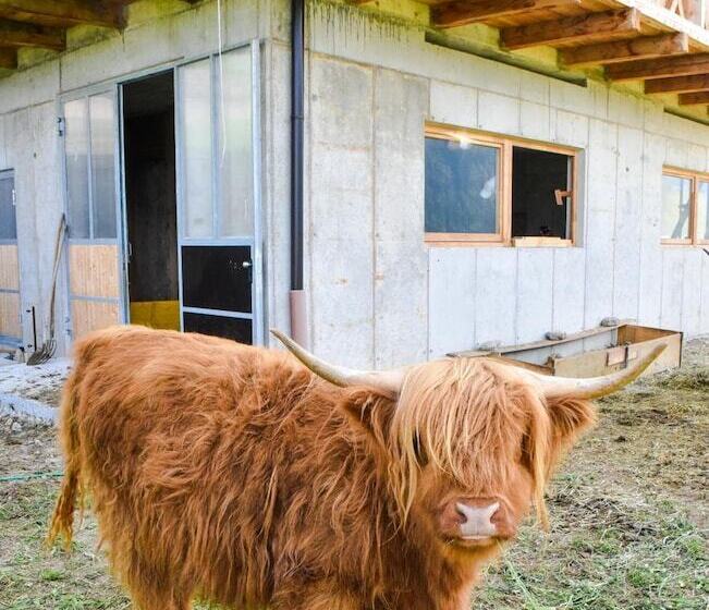 Отель Albergo Somont