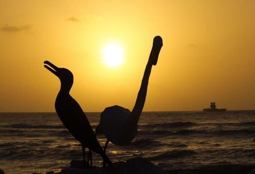 ホテル El Emigrante