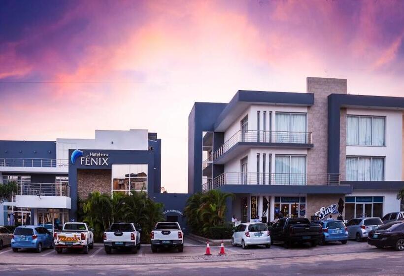 Отель Fénix