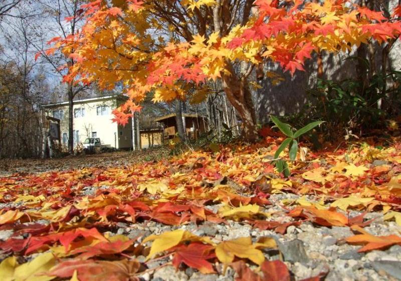 בית מלון כפרי Forest Lodge Subaru