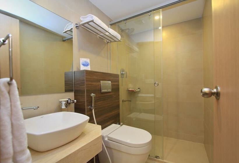 酒店 La Sara Regent