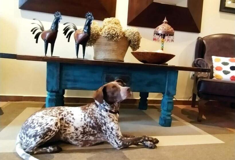 هتل Las Casonas De Avellaneda