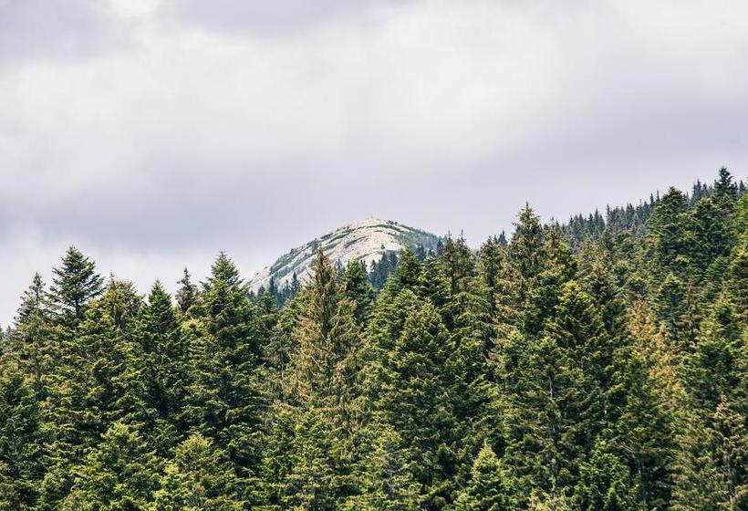 هتل Pid Khomiakom