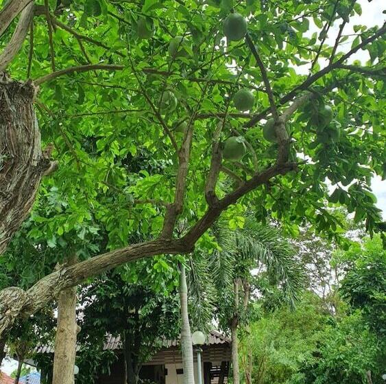 호텔 Ruenpurksa Resort