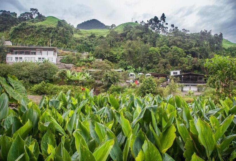 ホテル Termales Tierra Viva