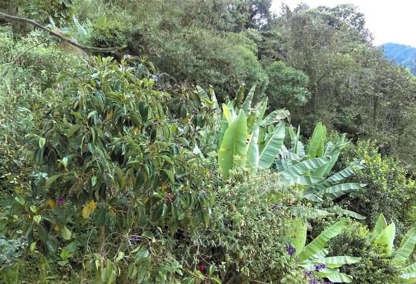 هتل Termales Tierra Viva