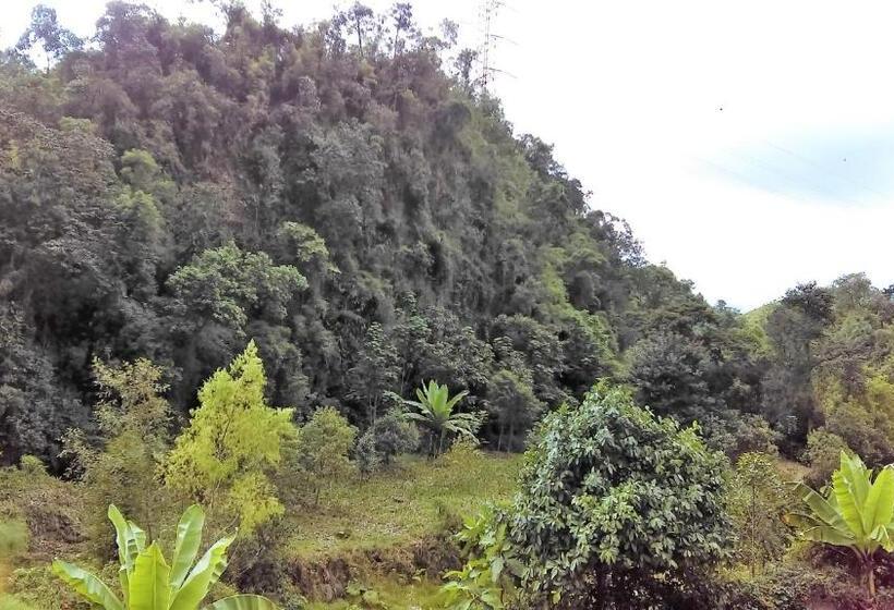 ホテル Termales Tierra Viva