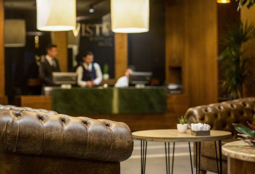 酒店 Vista Boutique