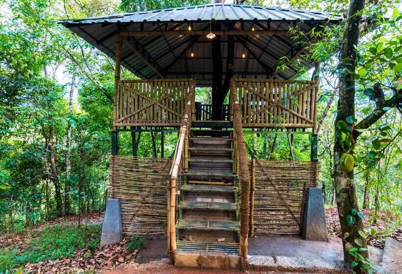 Letstay Adithya Nature Resort & Spa