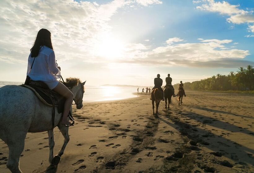 Sunset Del Mar Beach Resort
