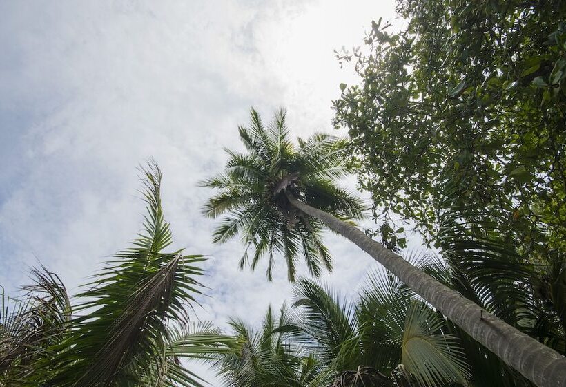 Sunset Del Mar Beach Resort