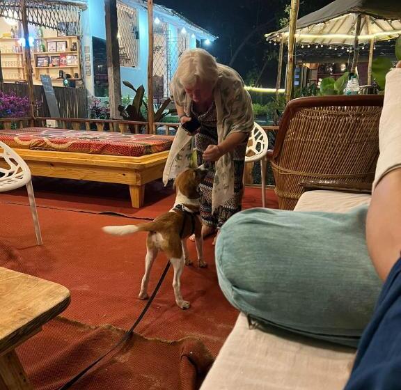 The Peace Hostel Arambol, Goa