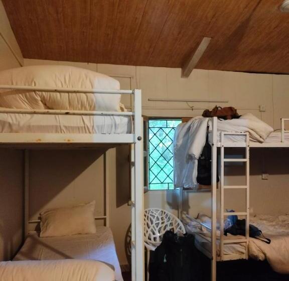 The Peace Hostel Arambol, Goa