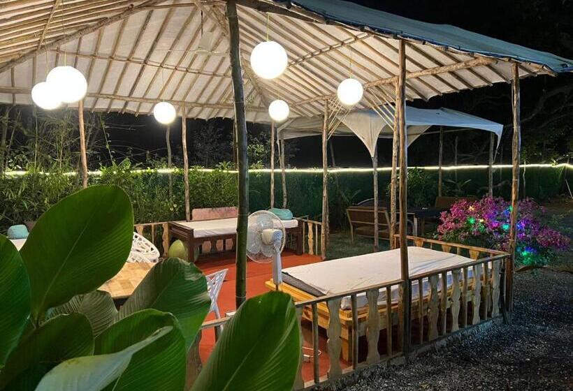 The Peace Hostel Arambol, Goa