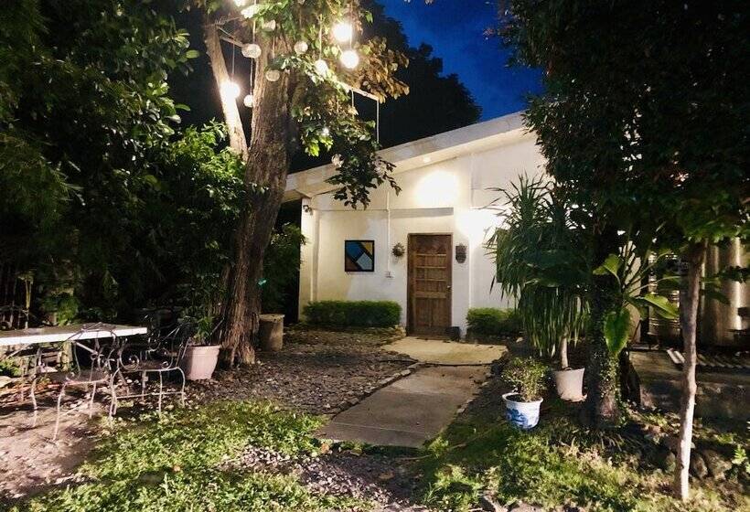 The White B&b Bacolod