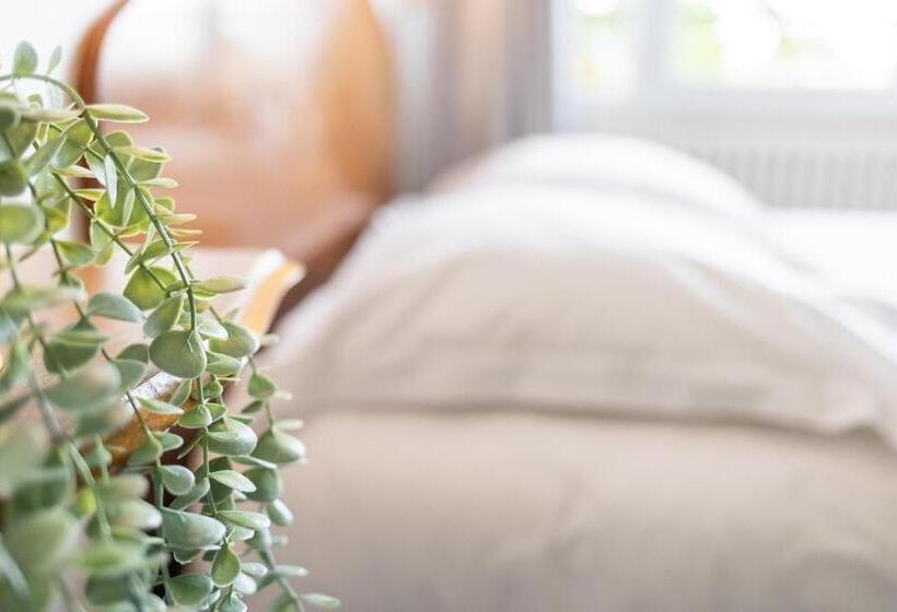 فندق Hôtel Fine