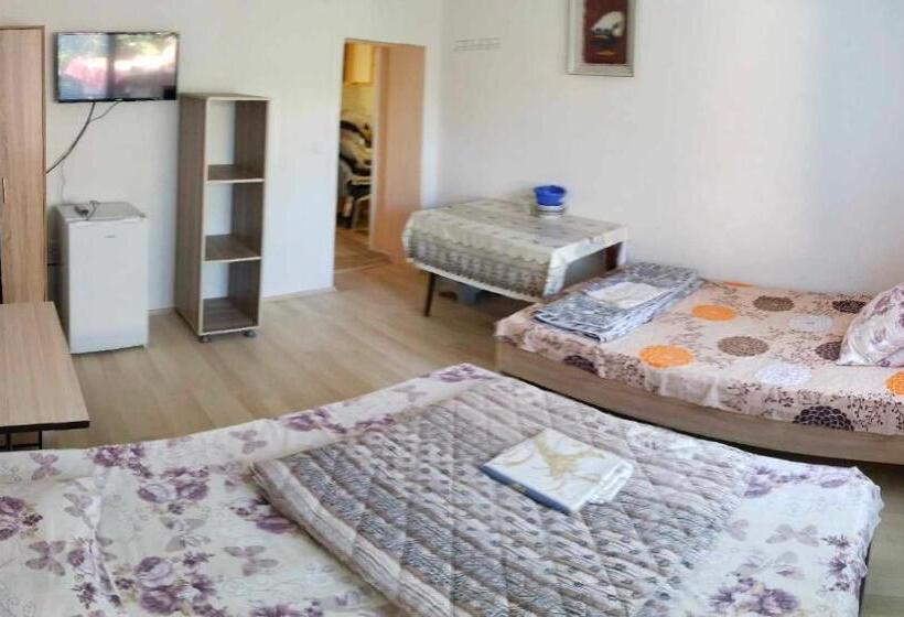 پانسیون Villa Daniel Irena Pestani