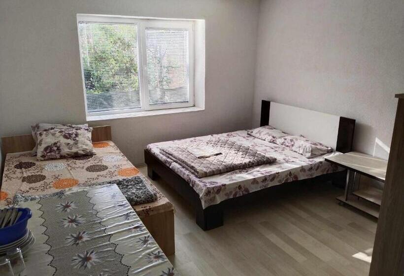 پانسیون Villa Daniel Irena Pestani