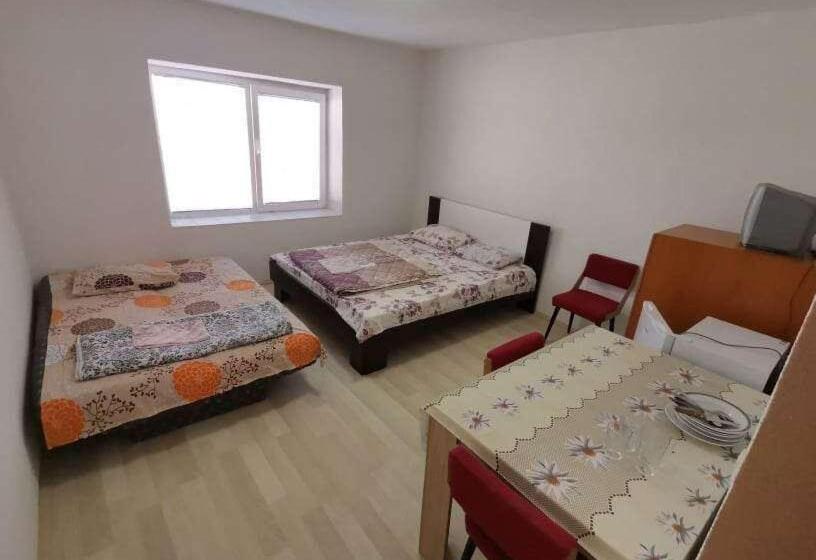 پانسیون Villa Daniel Irena Pestani