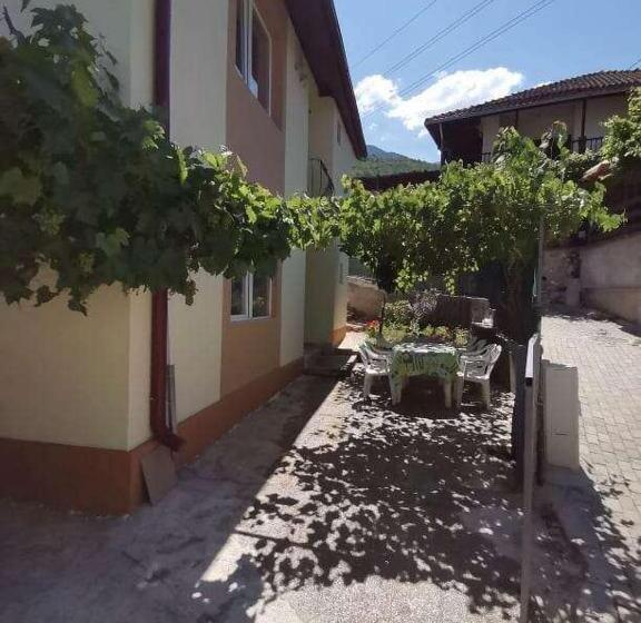 پانسیون Villa Daniel Irena Pestani