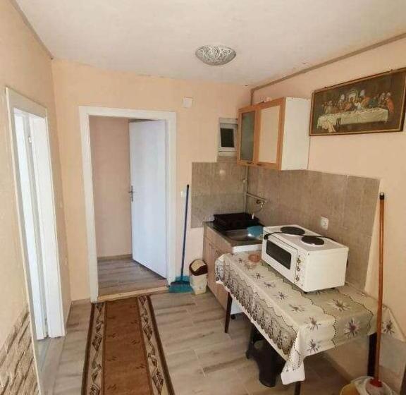 پانسیون Villa Daniel Irena Pestani