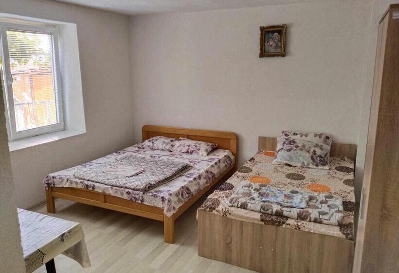 پانسیون Villa Daniel Irena Pestani