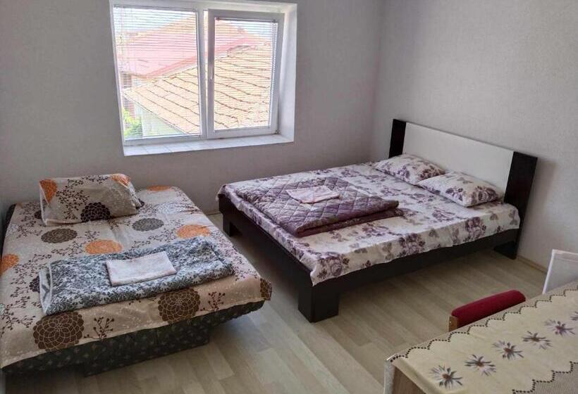 پانسیون Villa Daniel Irena Pestani