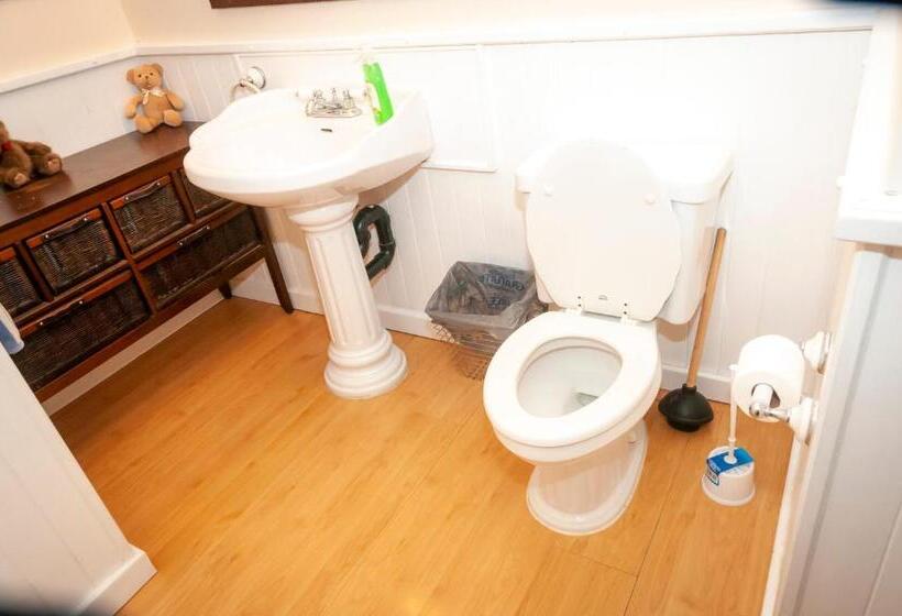 צימר Comfort Inn Hostel In Fraser Valley 2