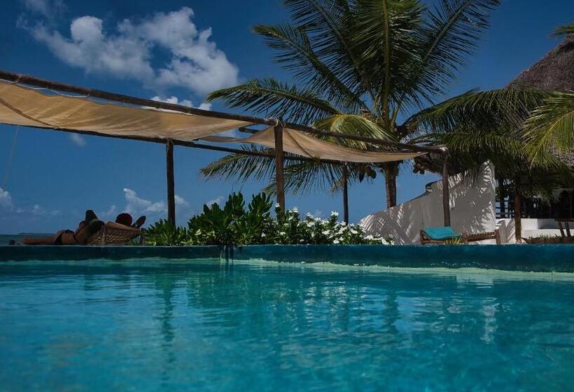 בית מלון כפרי Avo Boutique