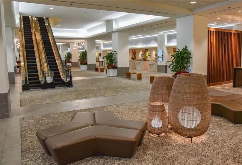 בית מלון כפרי Ocean View Room At Ala Moana Fees Include