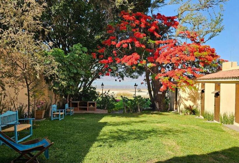 Real San Pedro. Hotel Boutique