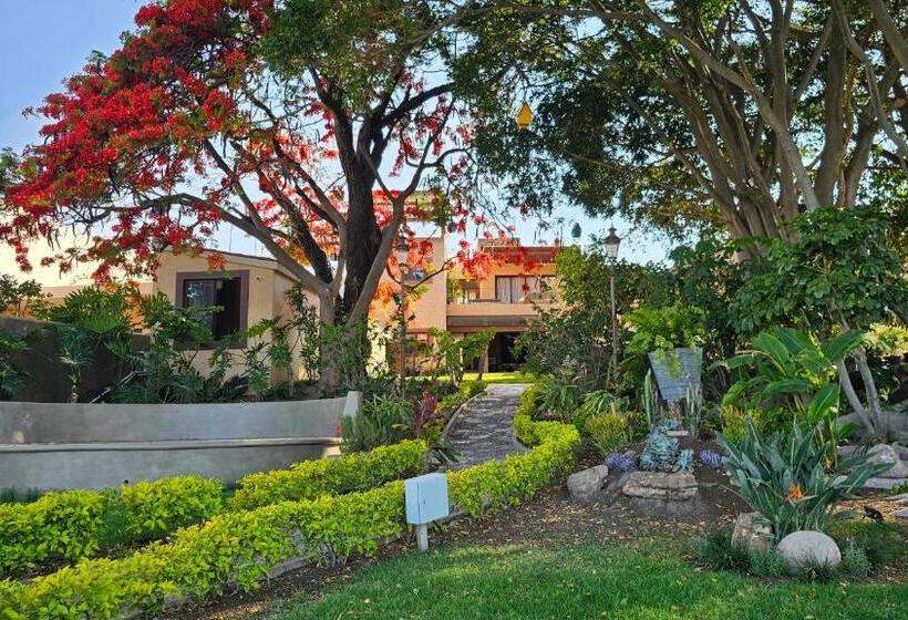 Real San Pedro. Hotel Boutique