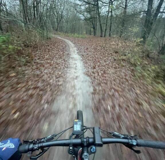 ユースホステル Boutique Hotel Bed&bos