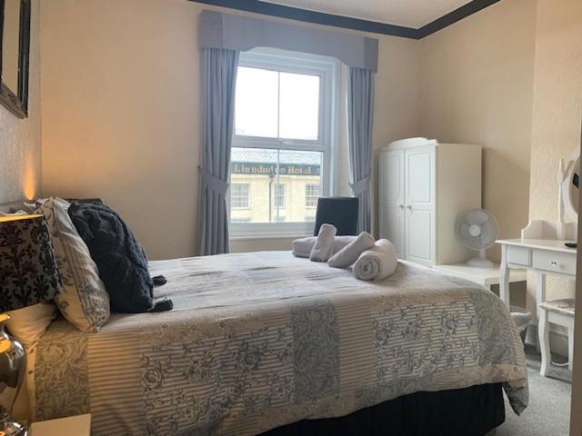 مبيت وإفطار The Capri Guesthouse