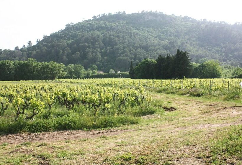 Bed and Breakfast Domaine Regis Freres