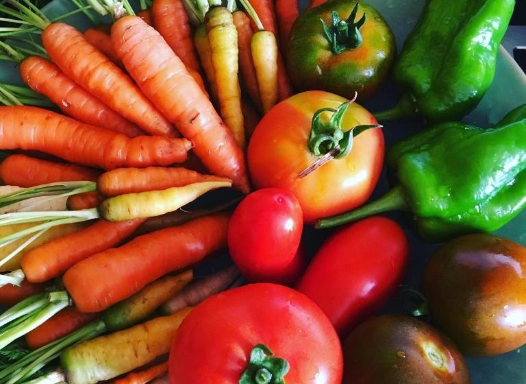 مبيت وإفطار Les Jardins De La Matz