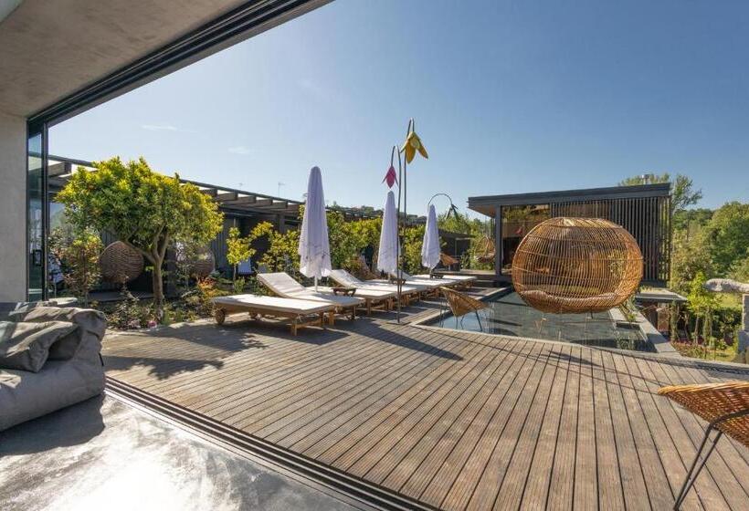 민박 Vale De São Torcato Hotel Rural