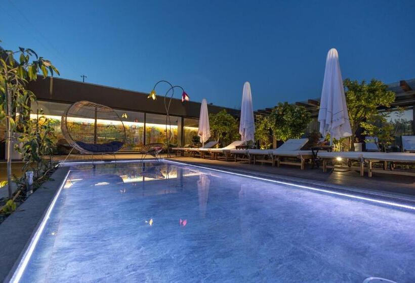 住宿加早餐  Vale De São Torcato Hotel Rural