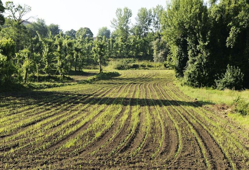 민박 Vale De São Torcato Hotel Rural