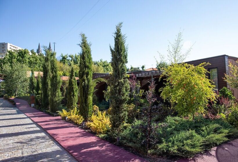 민박 Vale De São Torcato Hotel Rural