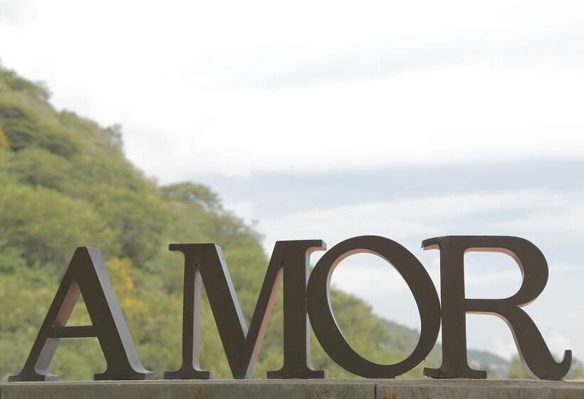 Donaire Hotel Boutique   Adults Only