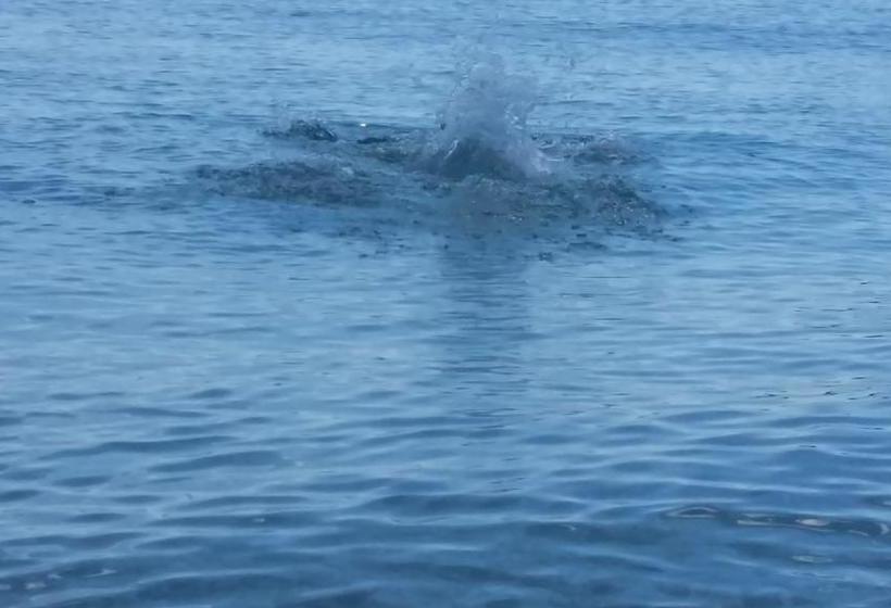 בית מלון כפרי Irini Boutique Rooms!!!