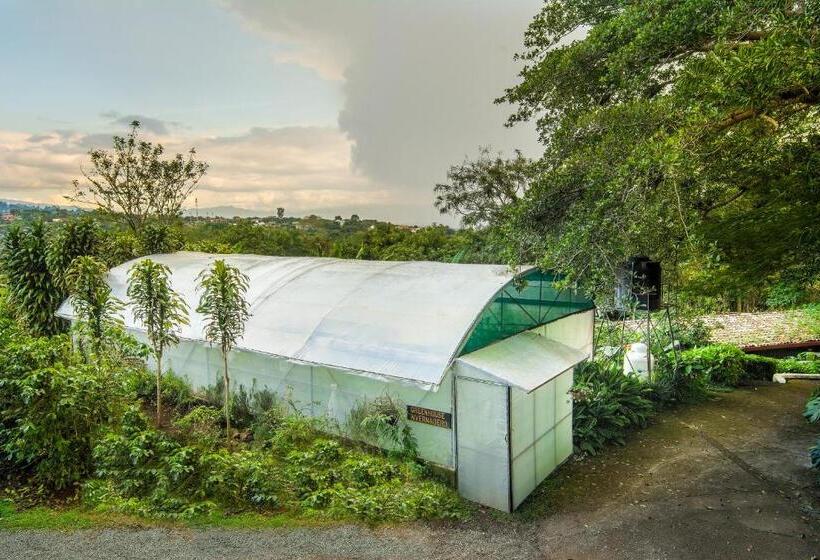 فندق Finca Rosa Blanca Coffee Farm And Inn