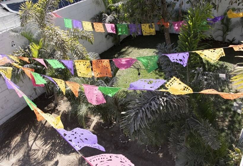 ホテル Sayulita Kart Inn