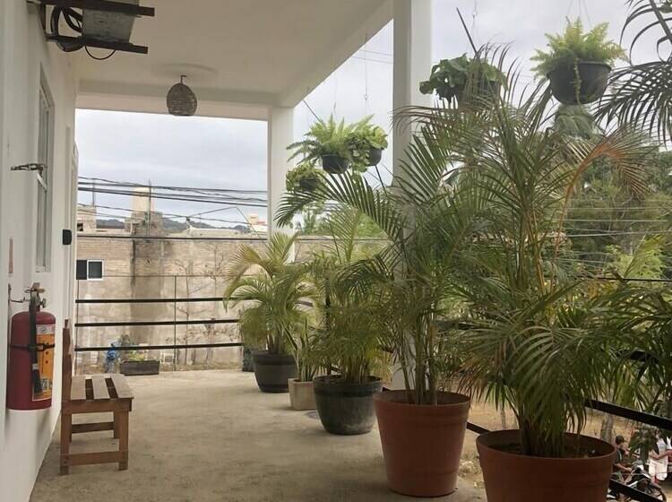 ホテル Sayulita Kart Inn