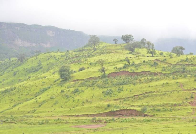 בית מלון כפרי Shivas Inn