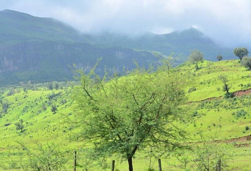 בית מלון כפרי Shivas Inn